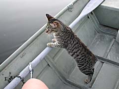 Phoebe in boat